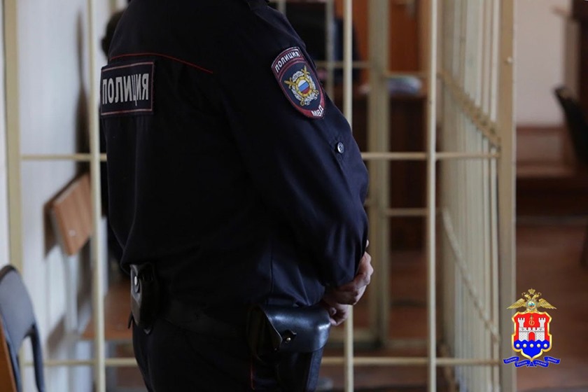 Суд отправил в СИЗО гражданина Узбекистана, покусившегося на 11-летнюю девочку