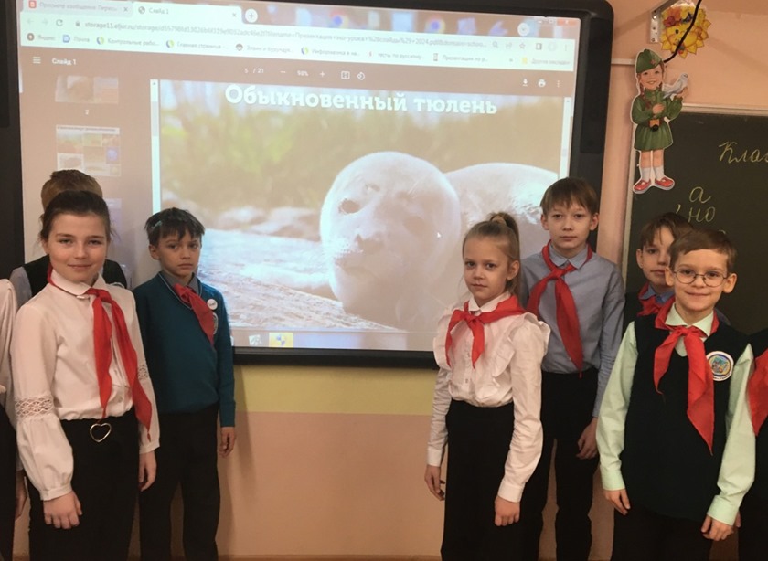 В Калининградской области подводят итоги природоохранной кампании «ПРО Тюленей»
