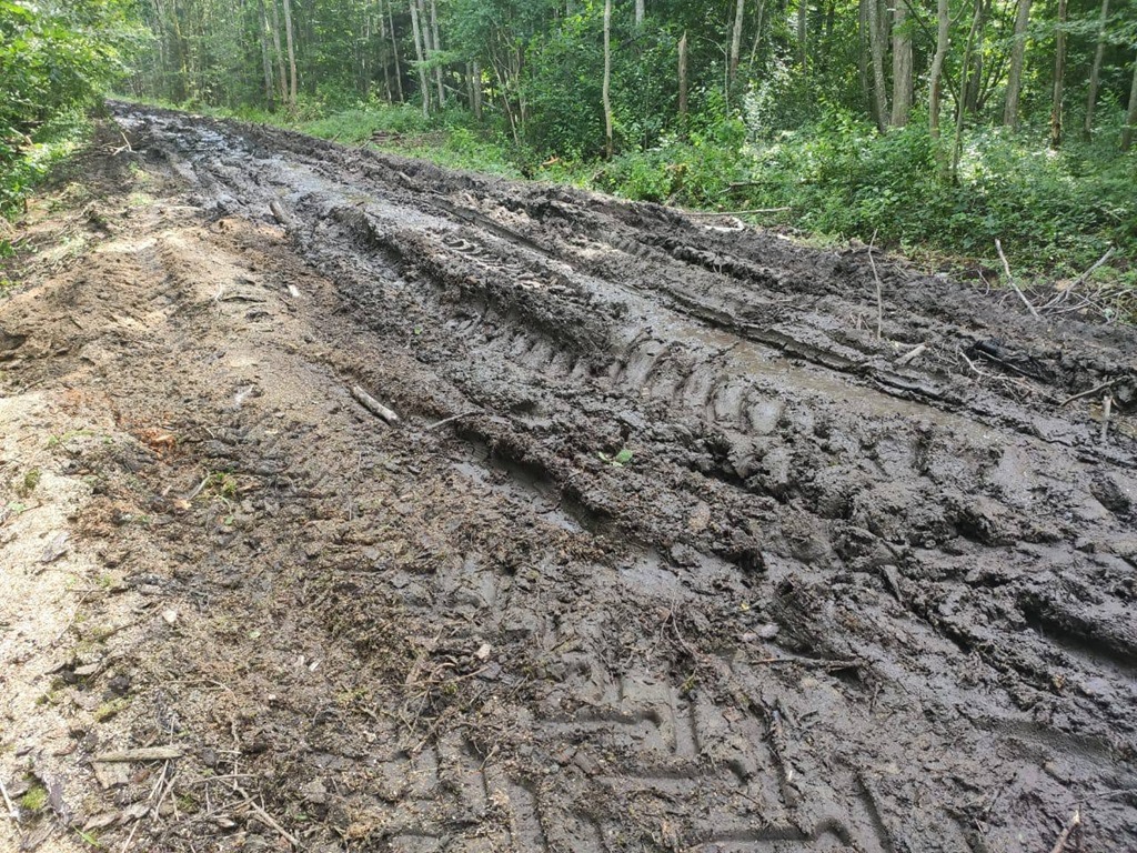 Прокуратура добилась ремонта дороги в калининградском поселке