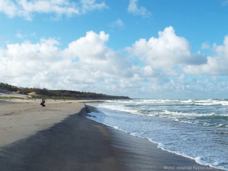 photo_2025-10-10_18-49-10 photo_2025-10-10_18-49-10