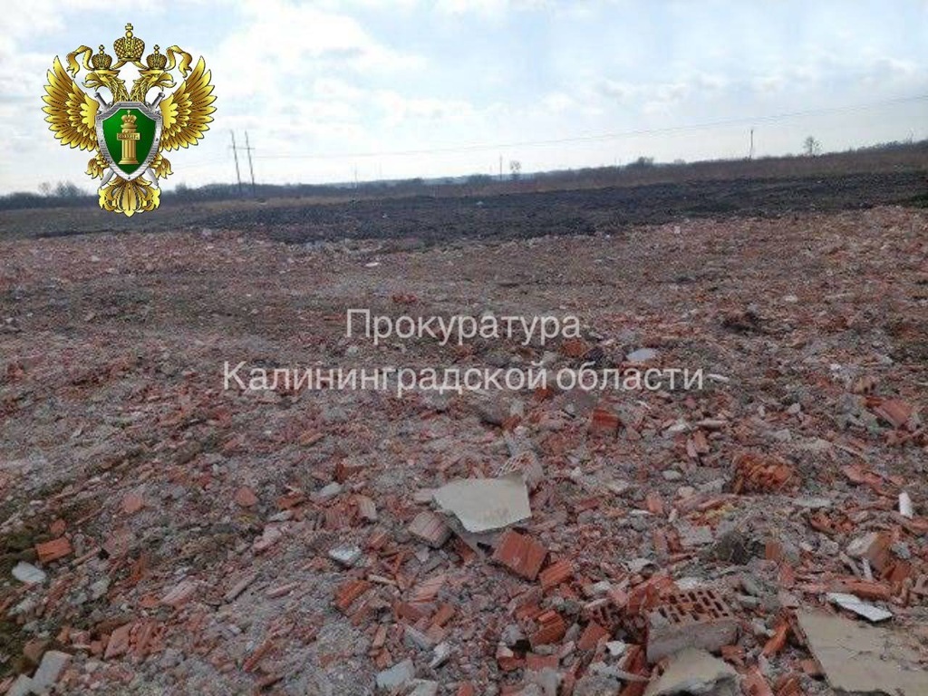 Свалка под Зеленоградском ликвидирована по суду