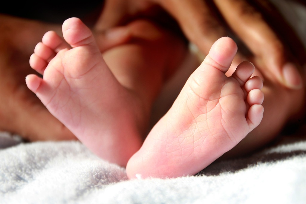 Фото: pixabay.com